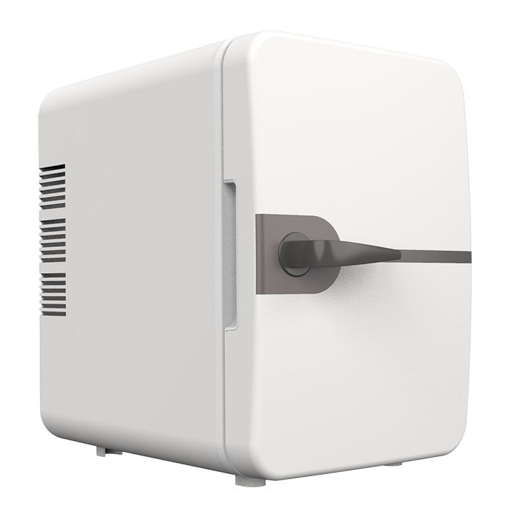 mini beauty refrigerator